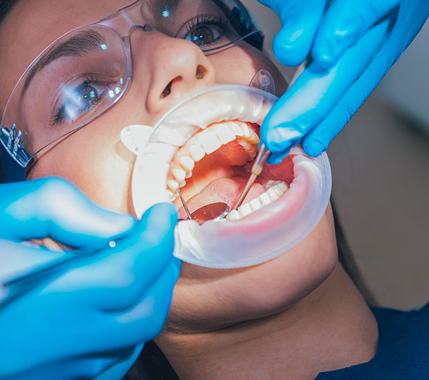 Gainesville Endodontic Surgery